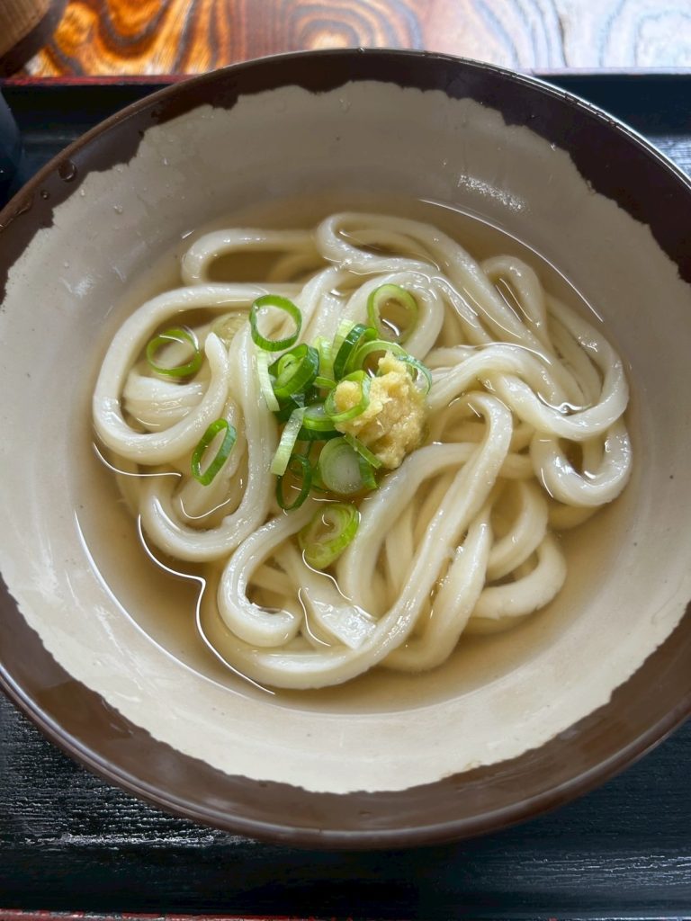 香川・高知の旅～うどん巡り～